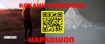 стаф Гай