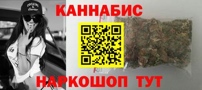 стаф Гай
