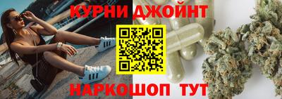 стаф Гай