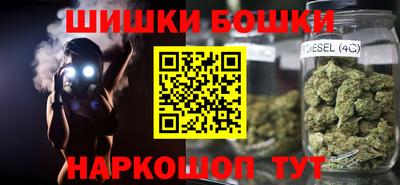 стаф Гай