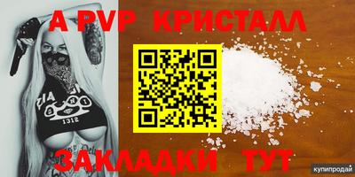 стаф Гай