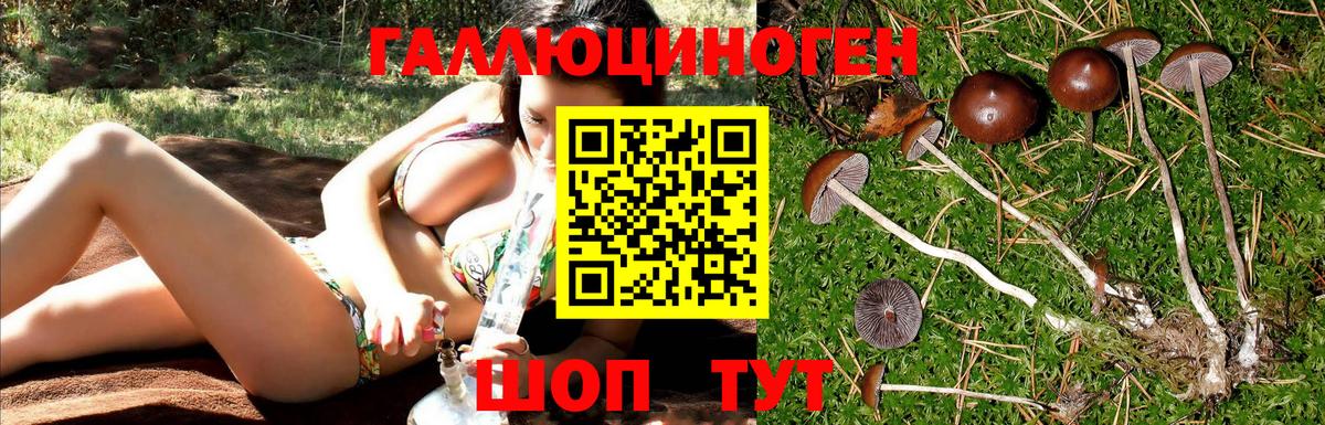 Галлюциногенные грибы мухоморы  Вход с VPN  Кольчугино 